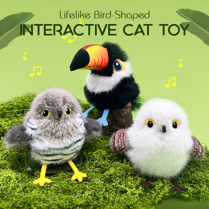 🎁🐱 Interactief kattenspeeltje - Vrolijke vogels