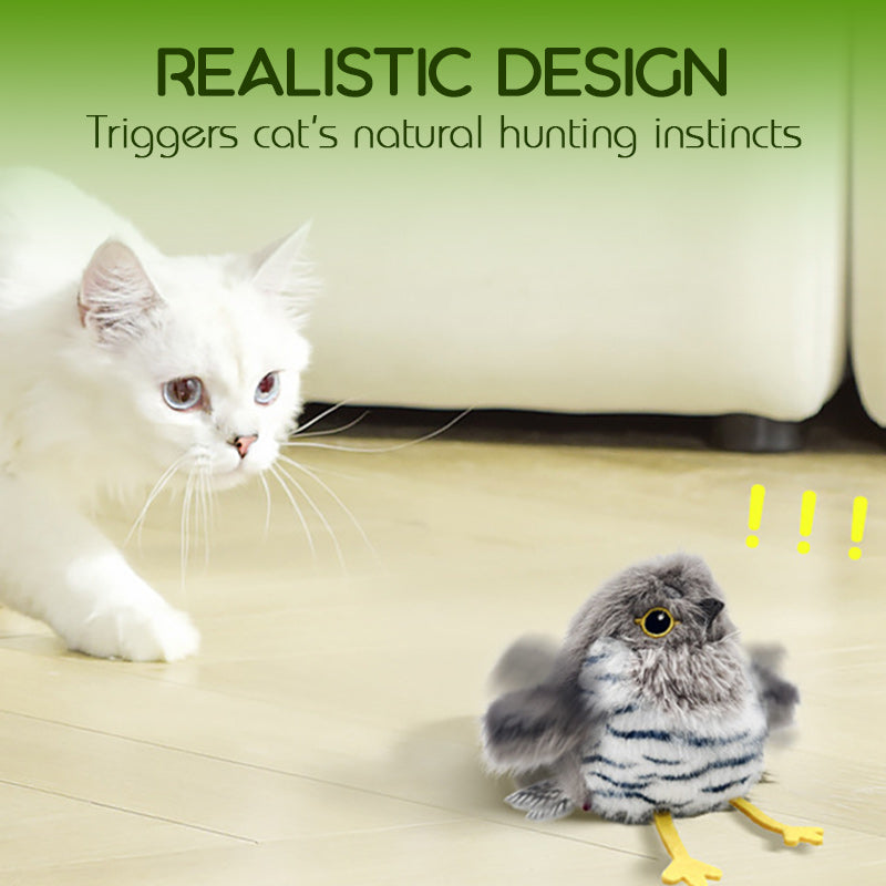 🎁🐱 Interactief kattenspeeltje - Vrolijke vogels