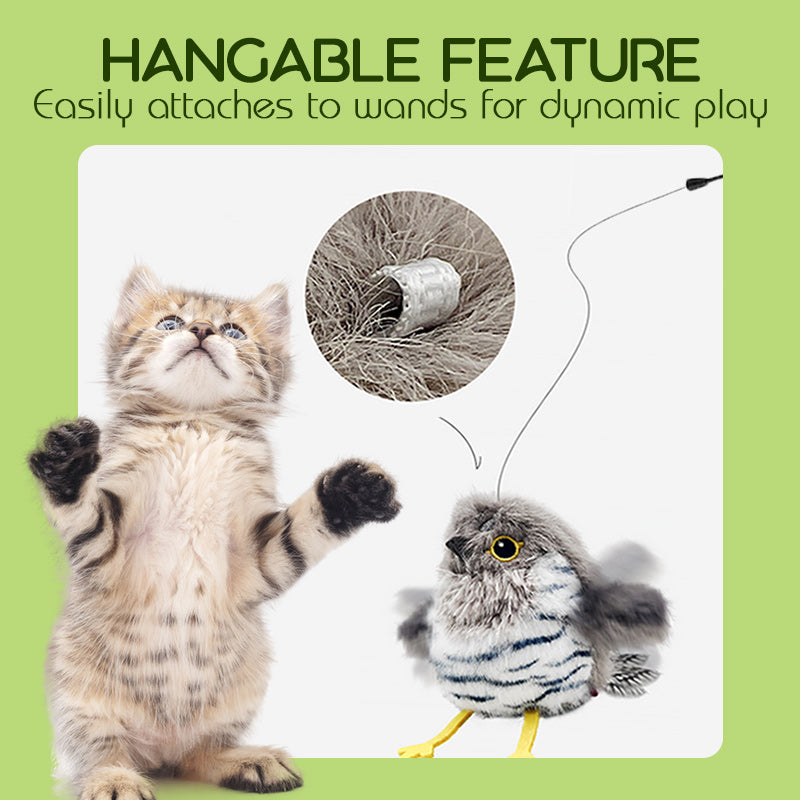 🎁🐱 Interactief kattenspeeltje - Vrolijke vogels